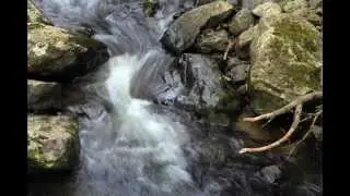 Water of Leith