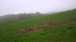 VID00640