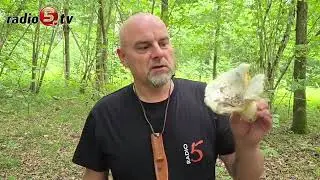 Na grzyby z Radiem 5!