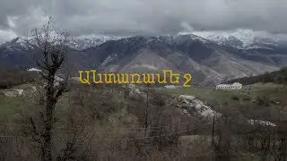 Բայինայի կովը ծնել է