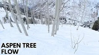 Spaced-Out Aspen Tree Line - Raw POV Snowboarding 