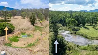 4) Increasing Landscape Function - Principles in Context - Multi Species Farming