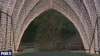 LIGHTSCAPE: Brooklyn Botanic Garden's exhibit of lights and music