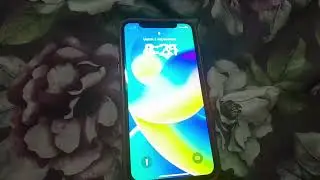 iPhone X startup/shutdown