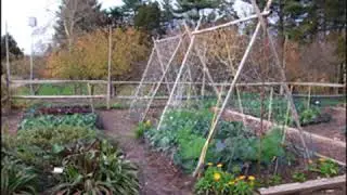 Gardening Without Irrigation: or without much, anyway by Steve SOLOMON | Full Audio Book