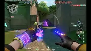 Killjoy Lotus1