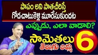 TELUGU  SAMETHALU #6 | telugu proverbs | Papam ani patha cheerisht godachatukelli muresukundata