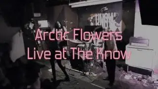 Arctic Flowers -
