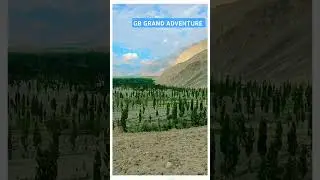 #gilgitbaltistan #travel #gilgitvalley #nature