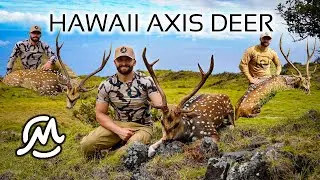 HAWAII AXIS DEER HUNT | 3 Bucks Down | New Horizons | 4K Film