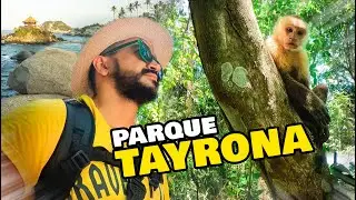 PARQUE TAYRONA: Todo lo que Necesitas Saber | Gu&iacute;a Definitiva 🏝️