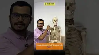 Human Skeleton Real-Time Analysis | Part 1 | SPM & LALAN'S | #jee #neet #shorts #spmandlalans