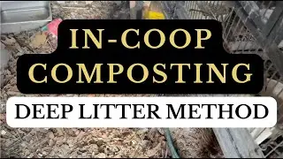 Deep Litter Method Winter Chickens: Easy Coop Composting Guide! Warm, Clean Low-Maintenance #compost