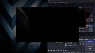 Bat Live Stream