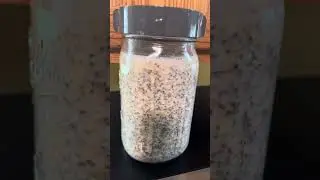 Fermenting oats with a pinch of Redmond salt off camera