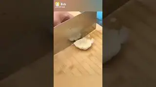 garlic technology