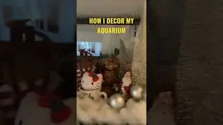 HOW TO DECORATE THE AQUARIUM #beta #shorts #shortvideo #aquarium #christmas #decoration @aikitchenYT
