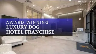 Experience Luxury with K9 Resorts Dog Daycare Franchise