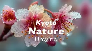Healing Kyoto Sakura Rain | Binaural Sleep Music for Stress Relief & Meditation