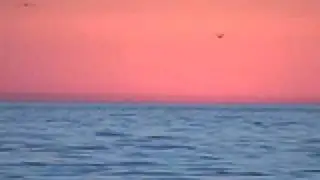 HEAR the Ocean Sunset - This Is Good For You - Relax