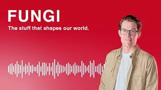 SUBSTANCE Podcast – Fungi