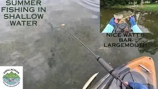 Exploring a new launch on Watt's Bar! - summer fishing for largemouth bass