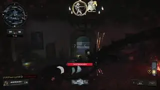 Black Ops 4 Quad Feed With Sparrow!