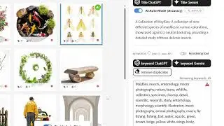 Easy Keyword For Adobe Stock(Chrome Extension)