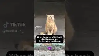 😅🌚 #booktok #books #readersoftiktok #bookworm #booksrun #booklover #reading #booktube #memes