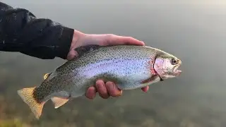 Fishing the Eildon Pondage for trout
