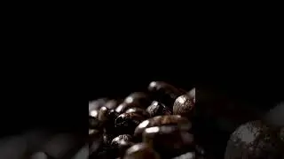 Coffee Beans Falling Close - Natural Beauty Scene | #shorts