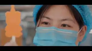 Baihua Products - Party Supplies, Disposable Tableware Cutleries Factory