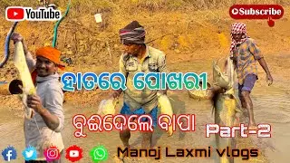 ବାପ୍&zwnj;ରେ କି ମାଛ🐟#odisha #village #fishing #trending #vlogs 