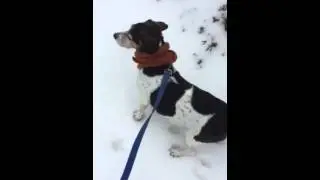 Season 1, Episode 2: Inspector Comet in Deep Snow