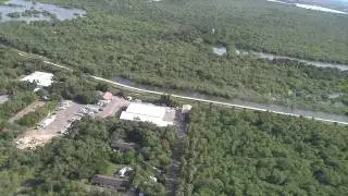 Record Hurricane Alex Flooding Enganders Wildlife along Floodways