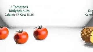 What is in Visalus Shakes