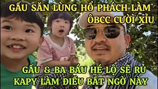 GẤU &BA B&Aacute;U H&Eacute; LỘ SẼ L&Ecirc;N Đ&Agrave; LẠT RỦ KAPY L&Agrave;M ĐIỀU BẤT NGỜ N&Agrave;Y,GẤU SĂN L&Ugrave;NG HỔ PH&Aacute;CH L&Agrave;M &Ocirc;BCC CƯỜI XỈU