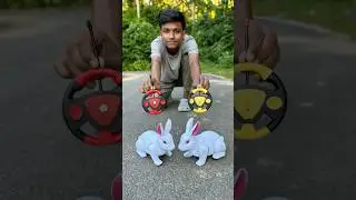 &ldquo;Unboxing Remote Control Small Rabbits So Cute Yet So Cool! 🐇🎮&rdquo;#shorts