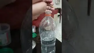 How to Culture Artemia at Home | Best Live Food for Betta Fry Growth | Brine Shrimp Culture