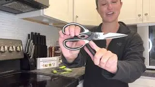 Review of Kitchen Shears Herb Scissors Set - Including a Heavy Duty Multi Function Kitchen Scissors
