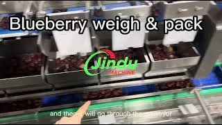 Want PERFECTLY PACKED DATES? Watch This BLUEBERRY PACKING MACHINE Now