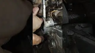 exchange seal camshaft #vtuber #cat #autorepair #carengine #mechanic #automotive #shorts #diy #fyp #