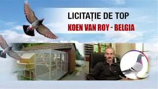 Koen van Roy