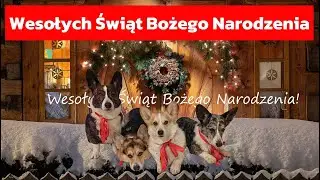Wesołych Świąt Bożego Narodzenia!