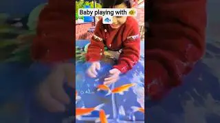 Baby playing with fish 😁🐟 #reels #youtubeshorts #vlogs #baby #nonfollowers