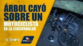 Arriba Bogotá 26 de diciembre: Árbol cayó sobre un motociclista en la av. Circunvalar | EL TIEMPO
