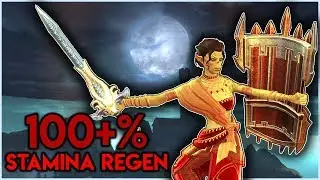 Neverwinter Experiments | Paladin Max Stamina Regen Build!