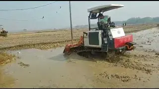 ধান কাটা মেশিন দিয়ে খুব সহজেই জমি চাষ করুন ‌।।RICE CATING HERVESTER WORKING ON THE FAILED