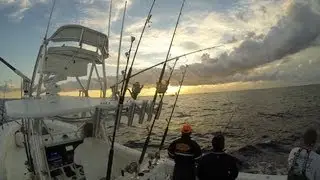 Big Eye on the Prize