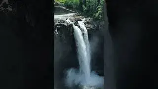Yağmur ormanları #usa #nature #nationalpark #ytshorts #shortvideo ##travel